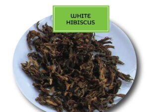 White Hibiscus Tea